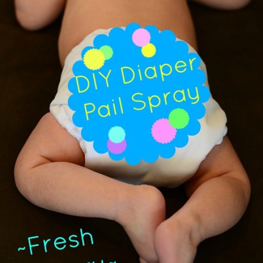 diy-diaper-pail-spray